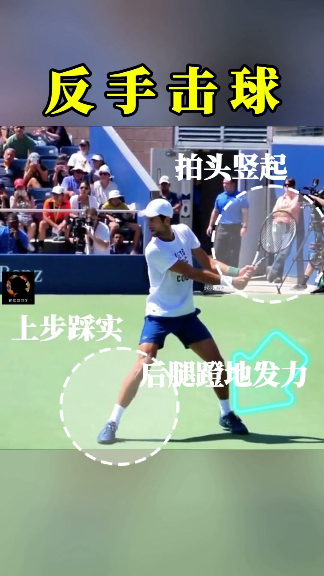 不仅来源于